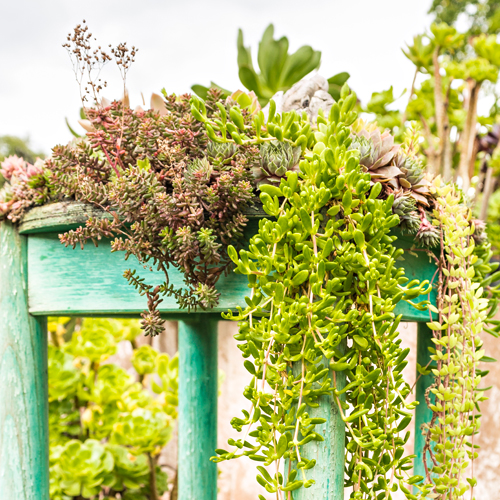 HOME & GARDEN – Garten und Terrasse HOME & GARDEN – Garten und Terrasse